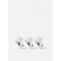 Socken & Strumpfhosen Prf Cush Low 3P weiß - adidas performance - Größe 35 - 38