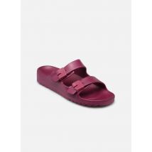 Clogs & Pantoletten BAHIA COMFORT weinrot - Scholl - Größe 38