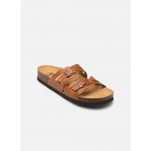 Mules et sabots JEANNE COLLECTION Marron - Scholl - Disponible en 41