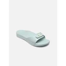 Scholl SCHOLL SUN - Mules et sabots - Disponible en 37