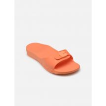 Scholl SCHOLL SUN - Mules et sabots - Disponible en 41