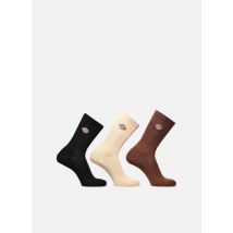 Chaussettes et collants Valley Grove Marron - Dickies - Disponible en 39 - 42