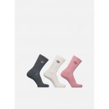 Sokken en panty's Valley Grove Paars - Dickies - Beschikbaar in 35 - 38