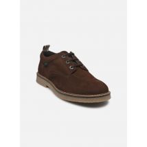 Kickers KICK LEVY Marron - Chaussures à lacets - Disponible en 40