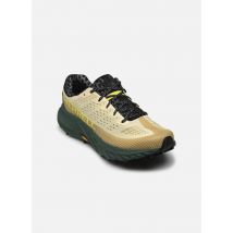Merrell Agility Peak 5 M - Chaussures de sport - Disponible en 47