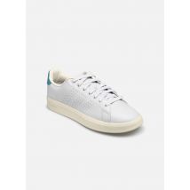 adidas sportswear Advantage Premium M Gris - Baskets - Disponible en 46 2/3