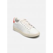 adidas sportswear Advantage Premium M Blanc - Baskets - Disponible en 46
