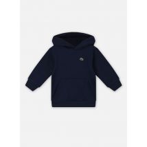 Vêtements Sweatshirt à capuche enfant Bleu - Lacoste - Disponible en 12A