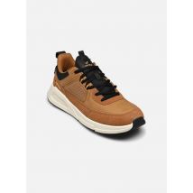 Kaporal Dolpi braun - Sneaker - Größe 41