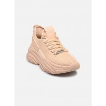 Steve Madden Project Beige - Sneakers - Beschikbaar in 36