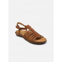 Sandales et nu-pieds Wakataua N5056 Marron - El Naturalista - Disponible en 38