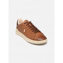 Polo Ralph Lauren HRT CRT II-SNEAKERS-LOW TOP LACE braun - Sneaker - Größe 45