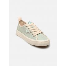 Armistice STOMP SNEAKER W Vert - Baskets - Disponible en 38