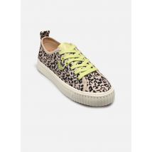 Armistice STOMP SNEAKER W Beige - Sneakers - Beschikbaar in 37