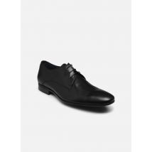 Zapatos con cordones KALO Negro - Brett & Sons - Talla 46