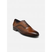 Chaussures à lacets KLUN Marron - Brett & Sons - Disponible en 46
