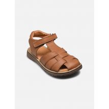 Sandalen Daros Bruin - Froddo - Beschikbaar in 29