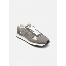 Faguo FOREST 1 BASKETS SYN WOVEN SYN Gris - Deportivas - Talla 42