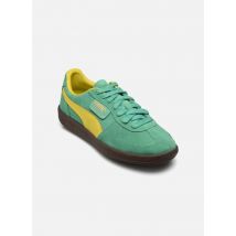 Puma Palermo M Vert - Baskets - Disponible en 44