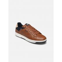 Redskins GUNRAY Bruin - Sneakers - Beschikbaar in 43