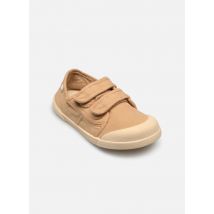 Igor Lona V Marron - Baskets - Disponible en 34