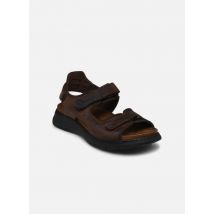 Sandalen KAIRO F1773 Bruin - Fluchos - Beschikbaar in 40