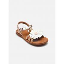 Sandalen Plagette Big Flo rosa - Pom d Api - Größe 34