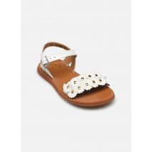Sandalen Plagette Multi Flo Wit - Pom d Api - Beschikbaar in 26