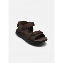 Sandalen ATL Trek Sun Bruin - Clarks - Beschikbaar in 45