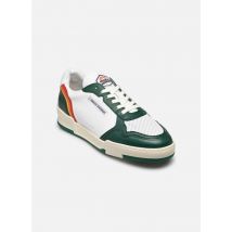 French Disorder Rainbow M Groen - Sneakers - Beschikbaar in 44