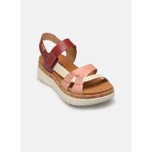 Sandales et nu-pieds PALMA W4N-0968 Multicolore - Pikolinos - Disponible en 38