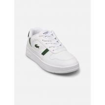 Lacoste T-Clip SUC Blanc - Baskets - Disponible en 29