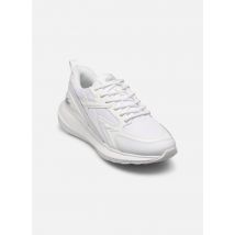 Lacoste L003 Evo M Blanc - Baskets - Disponible en 45