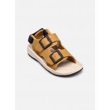 Liewood Anni Sandals - Sandales et nu-pieds - Disponible en 30