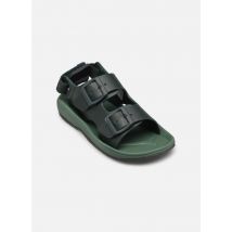 Sandalen Anni Sandals Groen - Liewood - Beschikbaar in 32