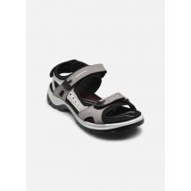 Sandales et nu-pieds Offroad W Gris - Ecco - Disponible en 38