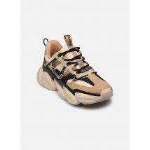 Steve Madden Spectator Multicolor - Sneakers - Beschikbaar in 36
