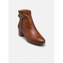 Stiefeletten & Boots Calafat W1Z-8588 braun - Pikolinos - Größe 41
