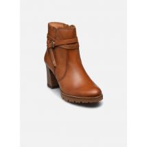Boots en enkellaarsjes Connelly W7M-8806 Bruin - Pikolinos - Beschikbaar in 39