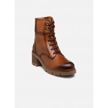 Stiefeletten & Boots Soria W0B-8552C1 braun - Pikolinos - Größe 42