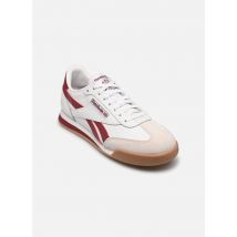 Reebok Campio XT W weiß - Sneaker - Größe 40
