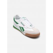 Reebok Campio XT M Wit - Sneakers - Beschikbaar in 42 1/2