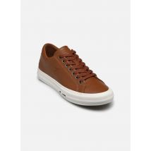 Tommy Hilfiger TH HI VULC STREET PATCH LTH LUXE Marron - Baskets - Disponible en 44