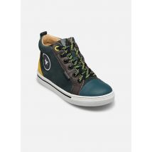 Acebo's 5838GO Multicolor - Sneakers - Beschikbaar in 24