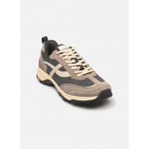 Pompeii BLAZE NYLON Bruin - Sneakers - Beschikbaar in 40