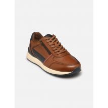 Redskins CALLIAS braun - Sneaker - Größe 42