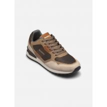 Redskins OBVIOUS B Bruin - Sneakers - Beschikbaar in 43
