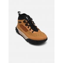 Timberland GREENSTRIDE MOTION 6 LOW LACE UP HIKING BOOT Beige - Baskets - Disponible en 34