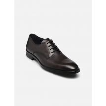 Schnürschuhe OPAL grau - Lloyd - Größe 44