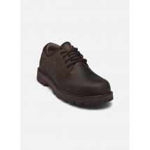 Timberland BRITTON ROAD LACE UP WATERPROOF SHOE Marron - Chaussures à lacets - Disponible en 40